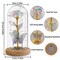 Eternal Preserved LED Rose with Butterfly in Glass Dome Décor